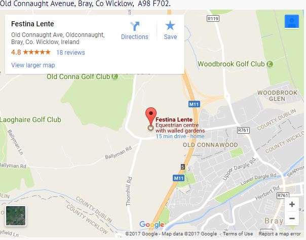 Festina Lente Bray Google Map