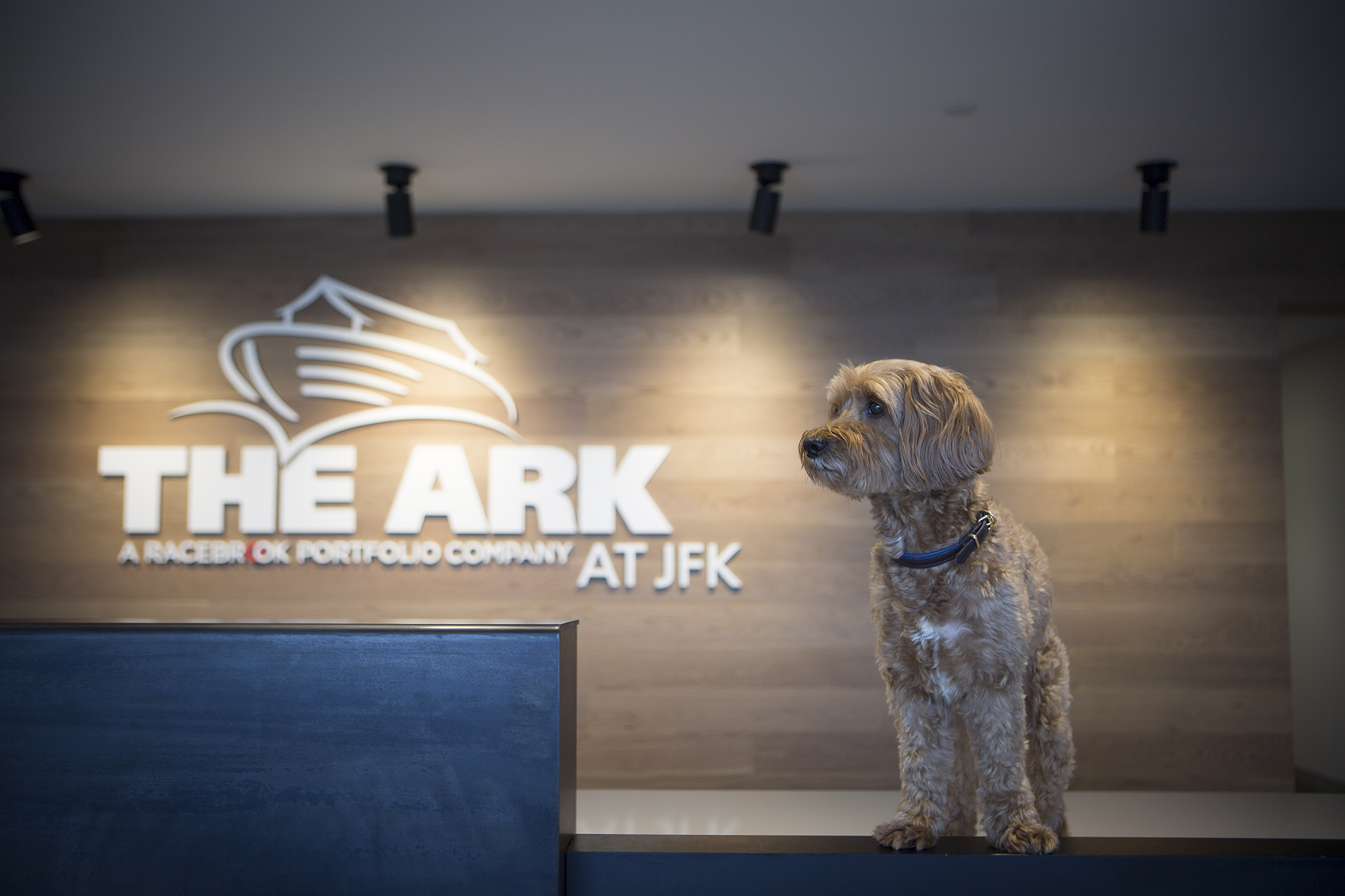 Tucker, The ARK’s canine ambassador, at Reception in The Ark Pet Oasis At JFK