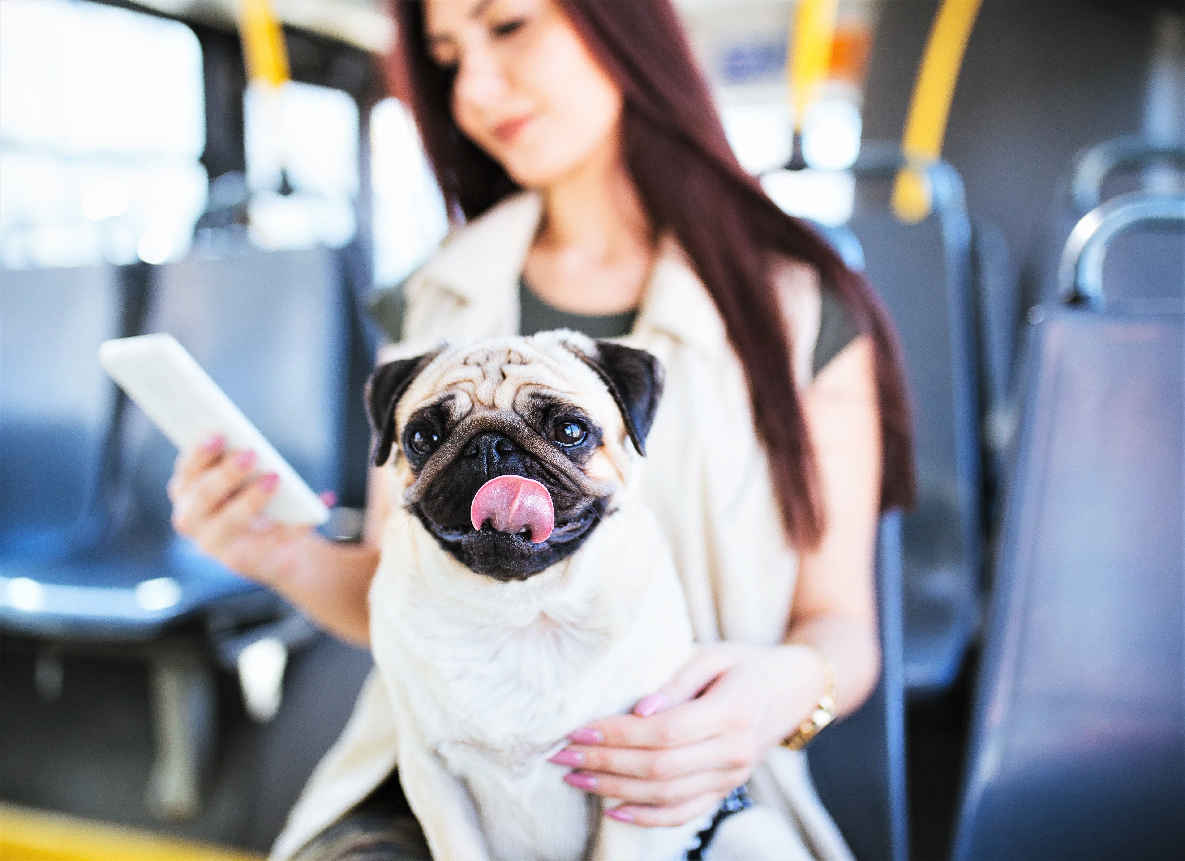 Girl & Dog on Bus