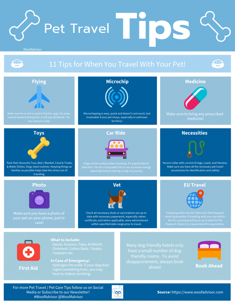 Pet Travel Tips Infographic