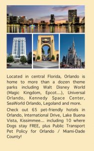 Destination Guide Orlando Florida