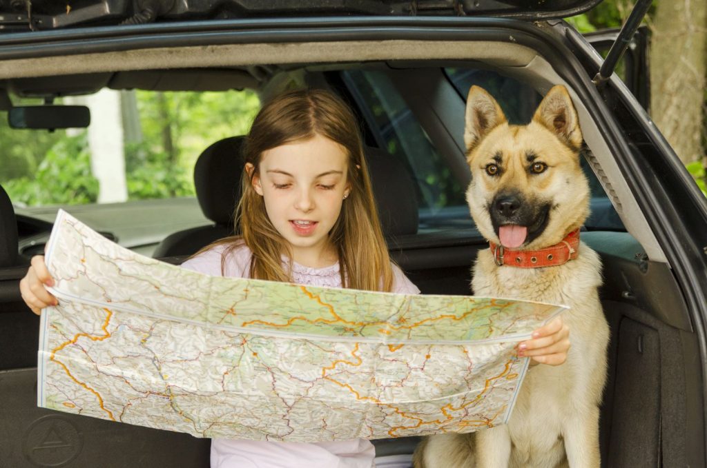 Helpful Tips for Traveling With Your Dog