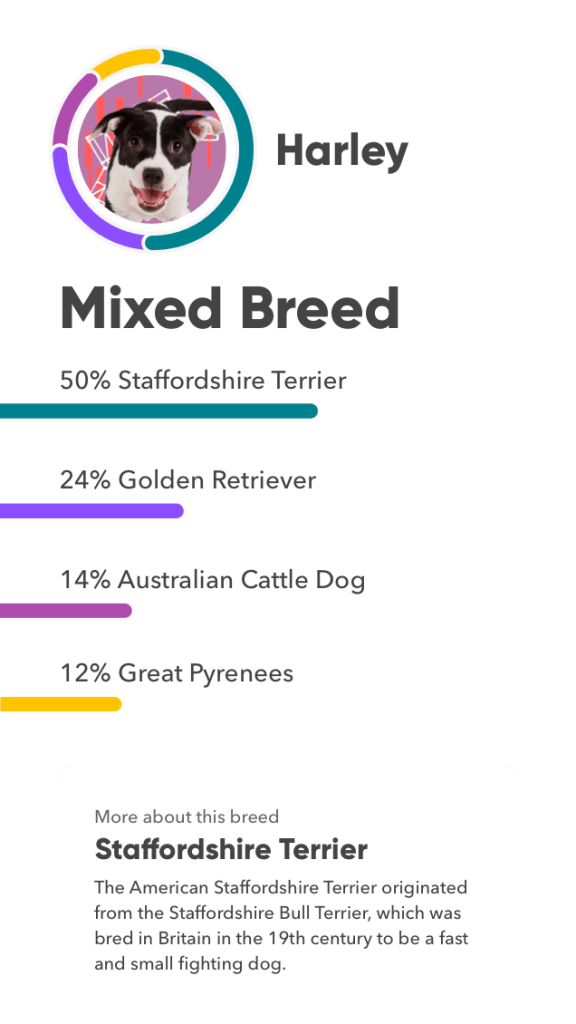 Embark Dog DNA Test - Breed Results